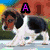 six pixelated images showing a dog, a smiling mouth, a cupcake, a dog, a dog, and a horse, each with a letter overlay