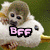 A small monkey sits on a white cloud-like shape with a yellow base, against a green background; the text 'BFF' appears in pink and black.