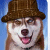 A pixelated animated buddy icon featuring a dog wearing a brown hat on the left and "SNOW DOGS" text in blue-and-white block letters on the right, displayed as a 2-frame contact sheet with visible animation differences between frames.