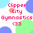 Pixelated text reads "Clipper City Gymnastics <33" in red, with a pink circular blur behind "City," on a white background with blue and green pixelated shapes.