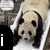Animated sequence of a panda in a white container with changing text overlays on black backgrounds.