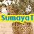 A four- of giraffe images with overlaid text: 'Sumaya T' in blue on yellow, 'Loves' in red on cyan, and 'Giraffes' in orange on pink