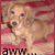Animated sequence of a light brown dog on red-and-white striped background with text elements changing across frames.