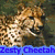 Four distinct animal images arranged in a with colored text labels below each
