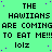 Green background with repeated black text 'THE HAWIANS ARE COMING TO EAT ME!!! lolz' and purple dots, no visible animation changes.