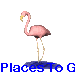 Animated pink flamingo standing on one leg with yellow beak and legs, positioned on blue water-like base against gray background.