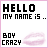 Two side-by-side pixelated display 'HELLO MY NAME IS ..' text above 'BOY CRAZY', with the right showing pink coloration on text and lips