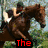 Six show horseback riding scenes with text overlays: 'The English Cowgirl' in red, 'Jumpin' Ramb' in black, 'Hai a hobby, a' in black, and 'PASSION!' in green