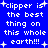Blue background with white pixelated text reading "clipper is the best thing on this whole earth!!!" surrounded by small plus signs.