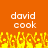 Pixelated orange background with white text 'david cook' repeated twice, yellow pixelated flame-like shapes at the bottom.