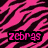 Six colored with black tiger stripes display the text "zebras are the coolest animals ever" in pixelated fonts