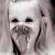 Pixelated grayscale image of a stylized face with large dark eyes and a wide mouth showing teeth, set against a light background with darker vertical elements on the sides.