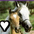 Two horses with brown and white coats stand side-by-side in a grassy field, with pixelated white hearts appearing in the corners.