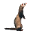 Pixelated ferret standing upright on hind legs with tail extended left, head tilted upward, brown and black fur pattern against solid gray background.
