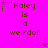 A bright pink background displays repeated text 'Haley is a weirdo!!' with brown pixelated letters and small star symbols, arranged in a pattern