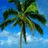 Pixelated palm tree with green fronds and brown trunk against blue sky background.