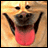 A pixelated dog with a wide open mouth and tongue out appears next to text reading "Twisted Whiskers" above a red leash graphic.