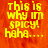 Yellow pixelated text on orange background reads 'this is why im spicy! haha....' with identical repeated sections and one gray
