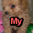 A four- of a brown puppy with text overlays reading "My Future Puppy!" in red font