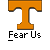 A static contact sheet of two identical orange 'T' logos with pixelated text beneath them, alongside promotional text for a website offering buddy icons.