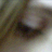 iconhell_sparkle_fire_wishing