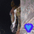 A horse's head appears in three distinct scenes: a dark stable interior, a light stable interior, and a snowy outdoor field, each with a blue heart symbol.