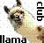 Pixelated llama with multicolored fur, white background dotted with gray squares, black text 'llama' at bottom and 'ace' on right side.