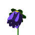 Pixelated flower icon with purple petals, yellow center, and green stem in three animated states: closed bud, partially open, fully bloomed.
