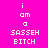 Pixelated text 'i am a SASSEH BITCH' displayed on two alternating background colors with no animation.