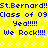 Yellow background with blue text repeating 'St.Bernard!!Class of 09 Yea!!!! We Rock!!!' and white pixelated circles scattered throughout.