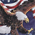 Flags icons for AIM, MSN, MySpace and Yahoo