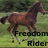 A pixelated horse in mid-gallop on a grassy field with trees, next to green background text reading 'MELANIE' and partial words 'Freedom Rider'.