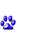 Blue paw print icons and text fragments spelling 'Email' on a gray background, with text incrementally forming 'E', 'Em', 'Ema', 'Email' across frames.