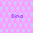A static image with a pink background pattern of light blue circles and wavy lines, featuring four instances of the word "Dina" in purple text.