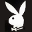 A 48x48 pixel buddy icon featuring a white Playboy bunny logo on the left half and green text reading "Original Icons .com" on the right half against dark backgrounds.