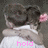 Two figures embrace with one figure's back to the viewer, a pink flower in hair, and changing text below.