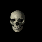 25 grayscale skull images arranged in five and five against a black background