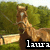 A horse stands in a grassy field with trees and stone walls, text overlays change across frames.