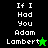 Pixelated text "If I Had You Adam Lambert" on black and green backgrounds with star symbols, one green and one black.
