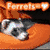 Six distinct ferret-themed pixel art images arranged in a , each with unique text overlays and backgrounds