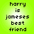 Green background with black pixelated text reading 'harry is jameses best friend' repeated in two identical vertical