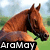 Brown horse head in profile with green grass and blurred sky background, text 'AraMay' on black bar at bottom left.