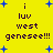 Yellow background with blue plus signs and dark purple text reading 'i luv west geneesee!!!' in two identical vertical