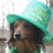 A dog wearing a green hat with text reading 'Happy St. Pattys Day <33' on a light green background.