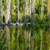 Pixelated landscape with green and brown tones showing trees and a body of water reflecting the scene.