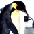 Pixelated penguin with black and white plumage, yellow beak tip, and orange cheek patch facing right against light background.