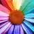 Pixelated flower with brown center and multicolored petals in pink, purple, blue, green, yellow, orange, red hues.
