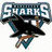 Animated sequence showing San Jose Sharks hockey team branding elements including logo, jerseys, players on ice, and a player in goalie gear.