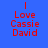 Red text on blue background reads 'I Love Cassie David' with a glowing effect on the bottom-left view.