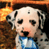 Animated contact sheet showing a Dalmatian puppy with blue bandana in two frames, alongside CoolBuddy.com logo on teal background.
